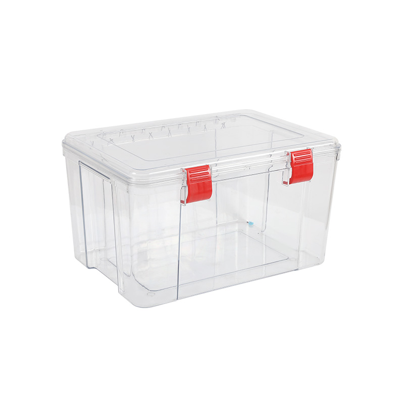 Storage storage box mould with clip and lid
