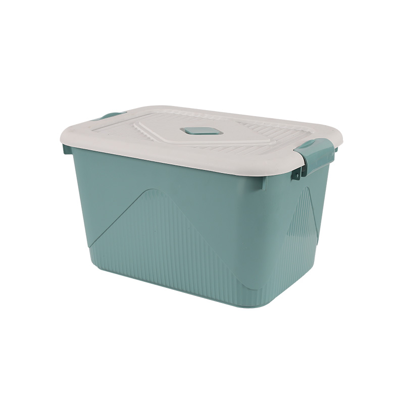 50L 75L 100 liter plastic storage box mould with clip