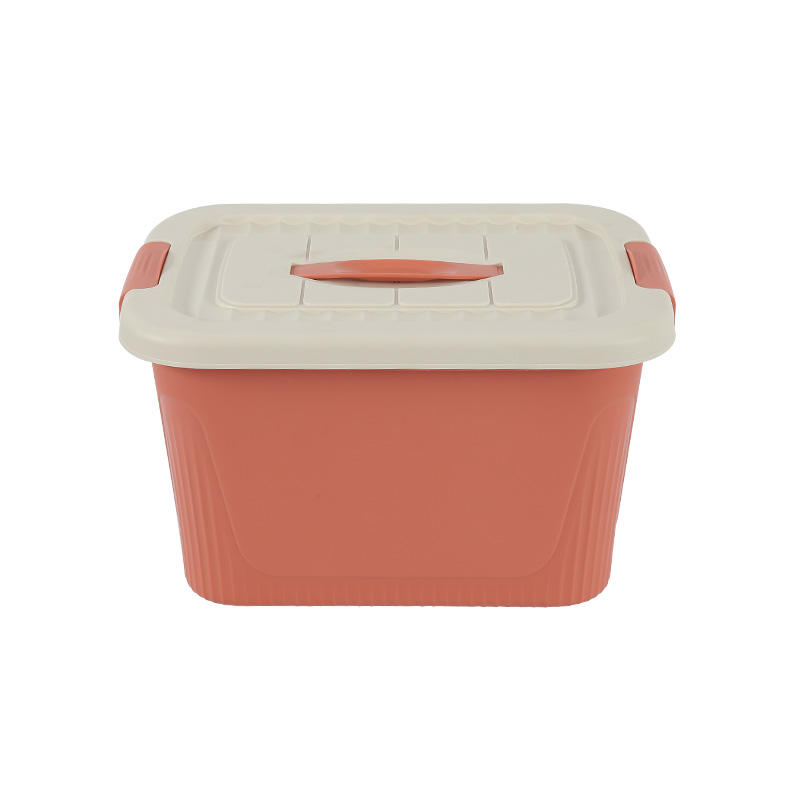 Injection 100 liter plastic storage box mould with clip