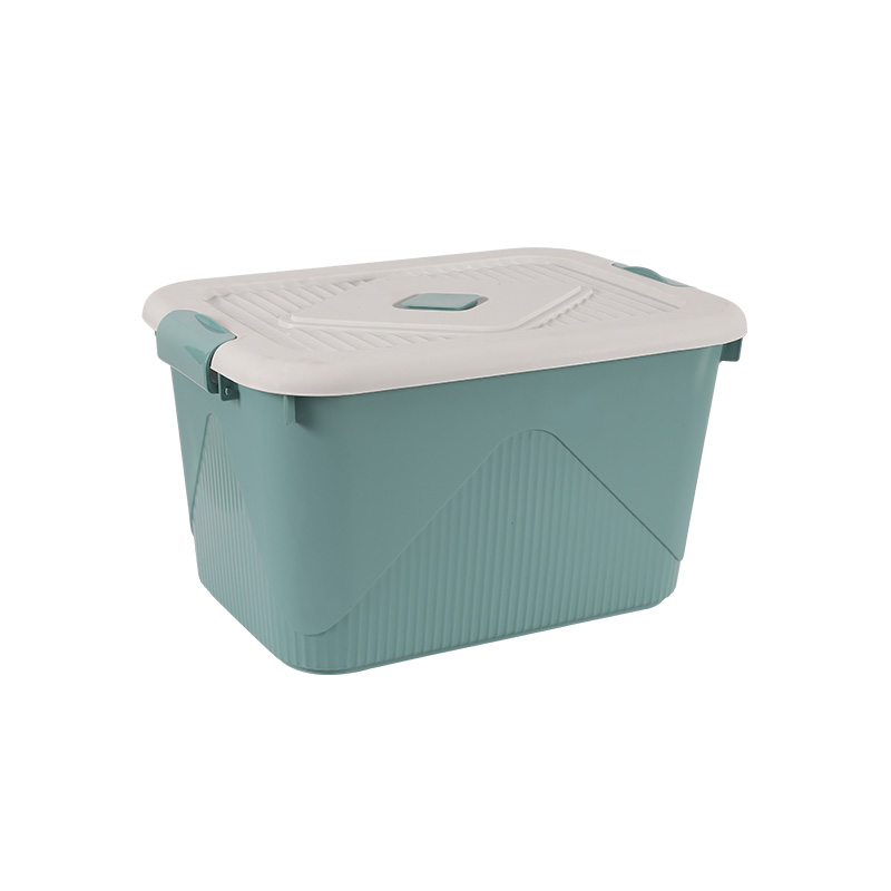 50L 75L 100 liter plastic storage box mould with clip