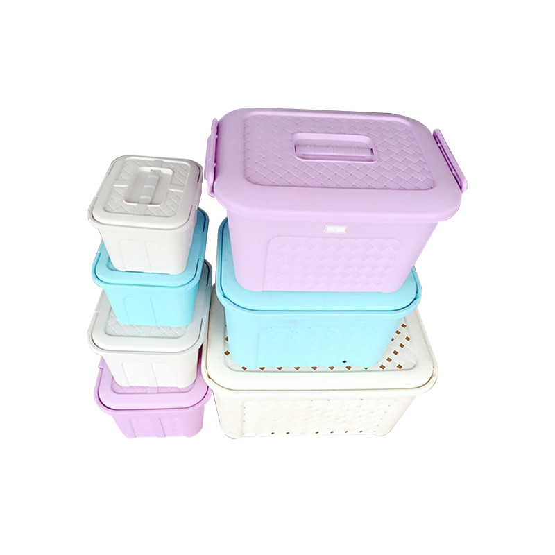 25L 50L 75L 100 liter plastic storage container mould with clip