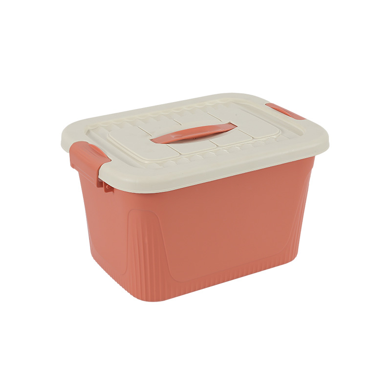 Injection 100 liter plastic storage box mould with clip