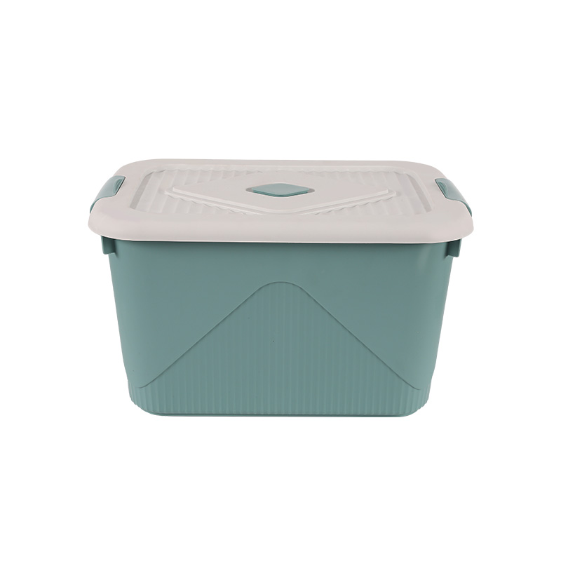 50L 75L 100 liter plastic storage box mould with clip