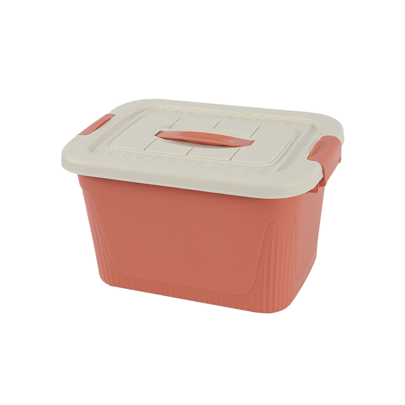 Injection 100 liter plastic storage box mould with clip